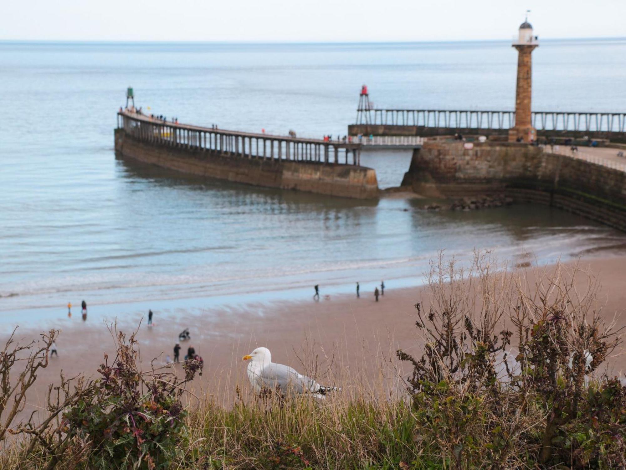 Rosemary Cottage Whitby Luaran gambar